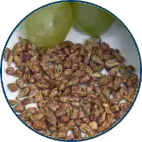 Grape seeds and grape seed extract powder